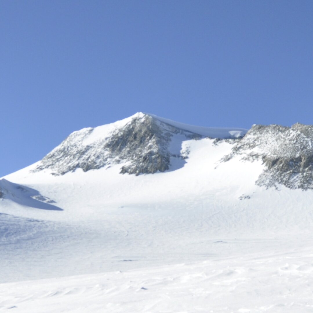 Vinson