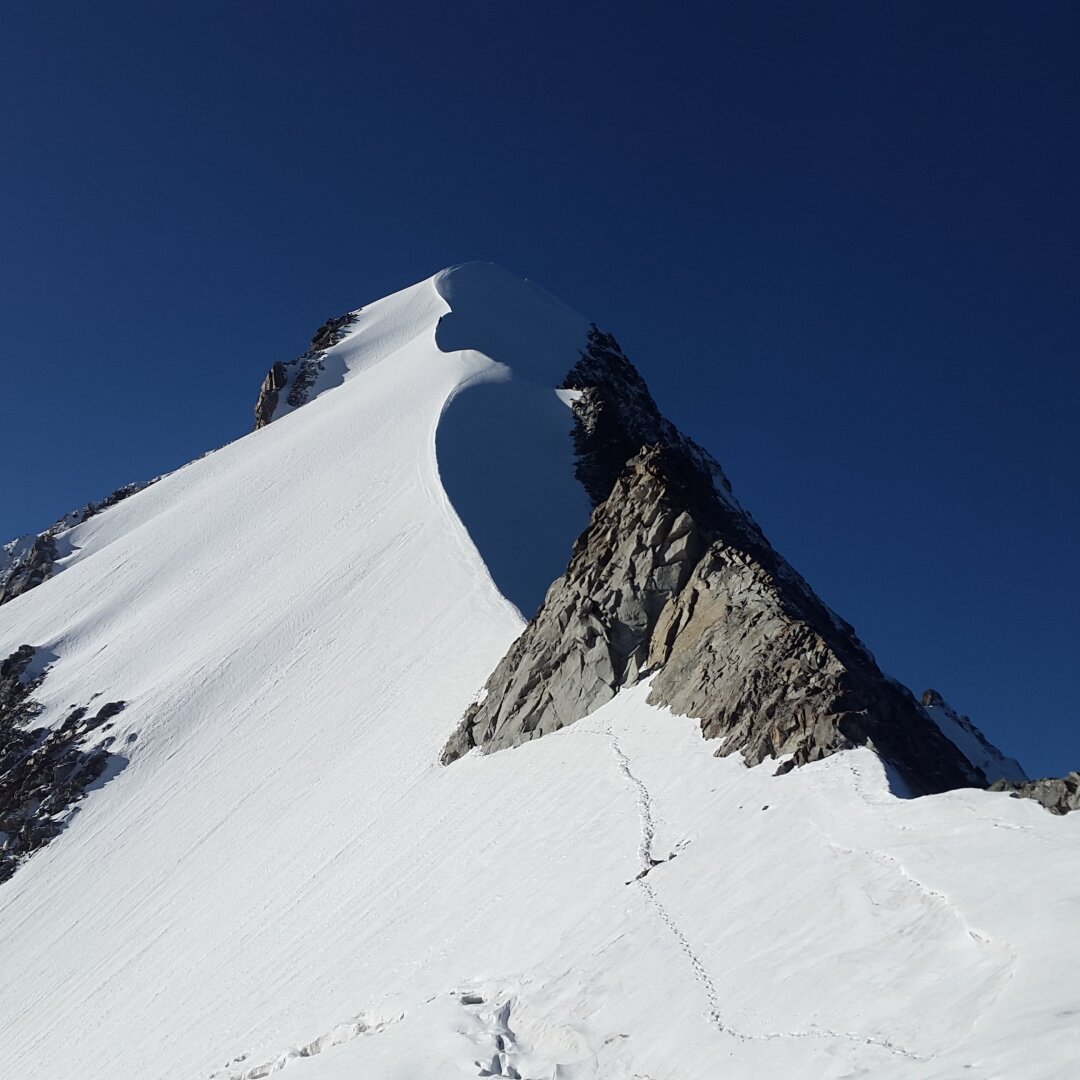 Piz Bernina