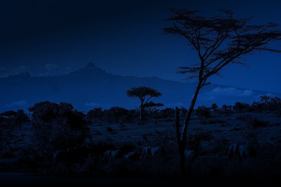 MontKenya-Header